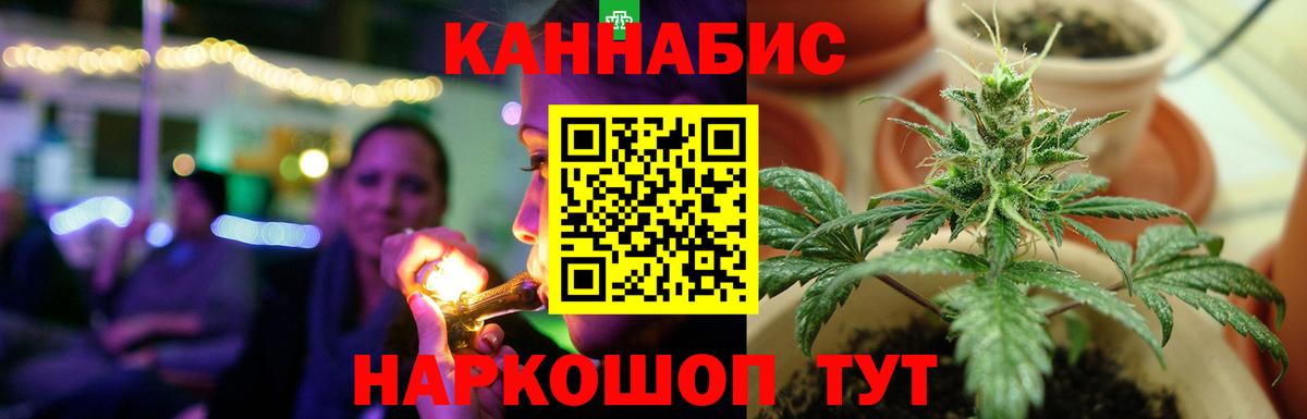 Каннабис OG Kush Октябрьский